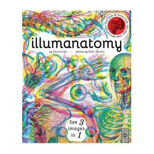 Illumanatomy
