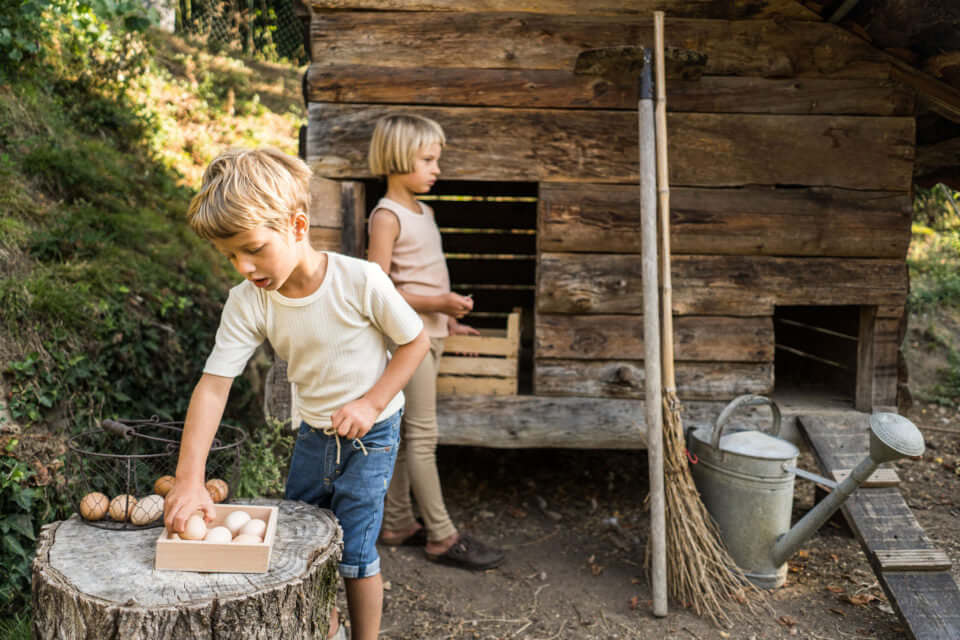 EDB789E0-D3E5-45DD-A128-1E9FB2B36375