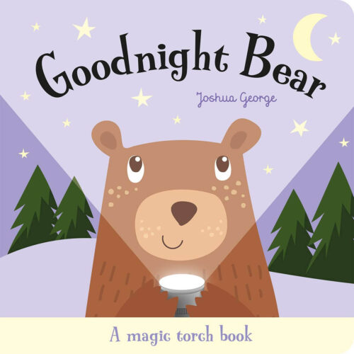 Goodnight Bear Magic Torch Bk