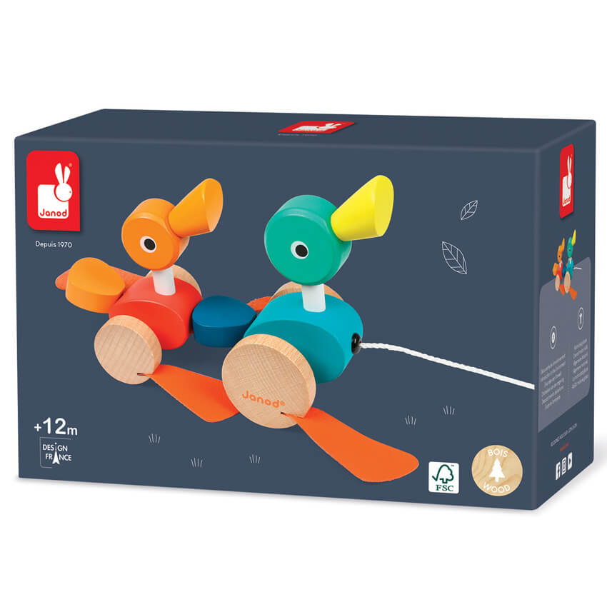 janodduckfamily1 (1)