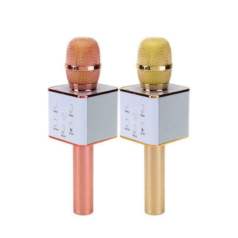 Wireless Karaoke Mic Laugh and Learn