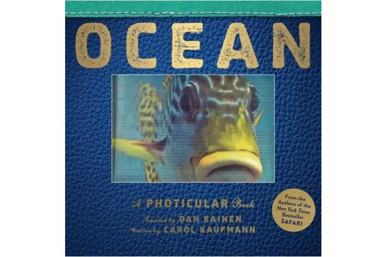 A Photicular Book: Ocean