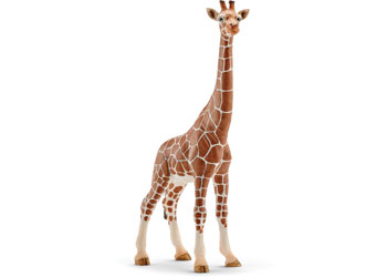 Schleich Giraffe Female