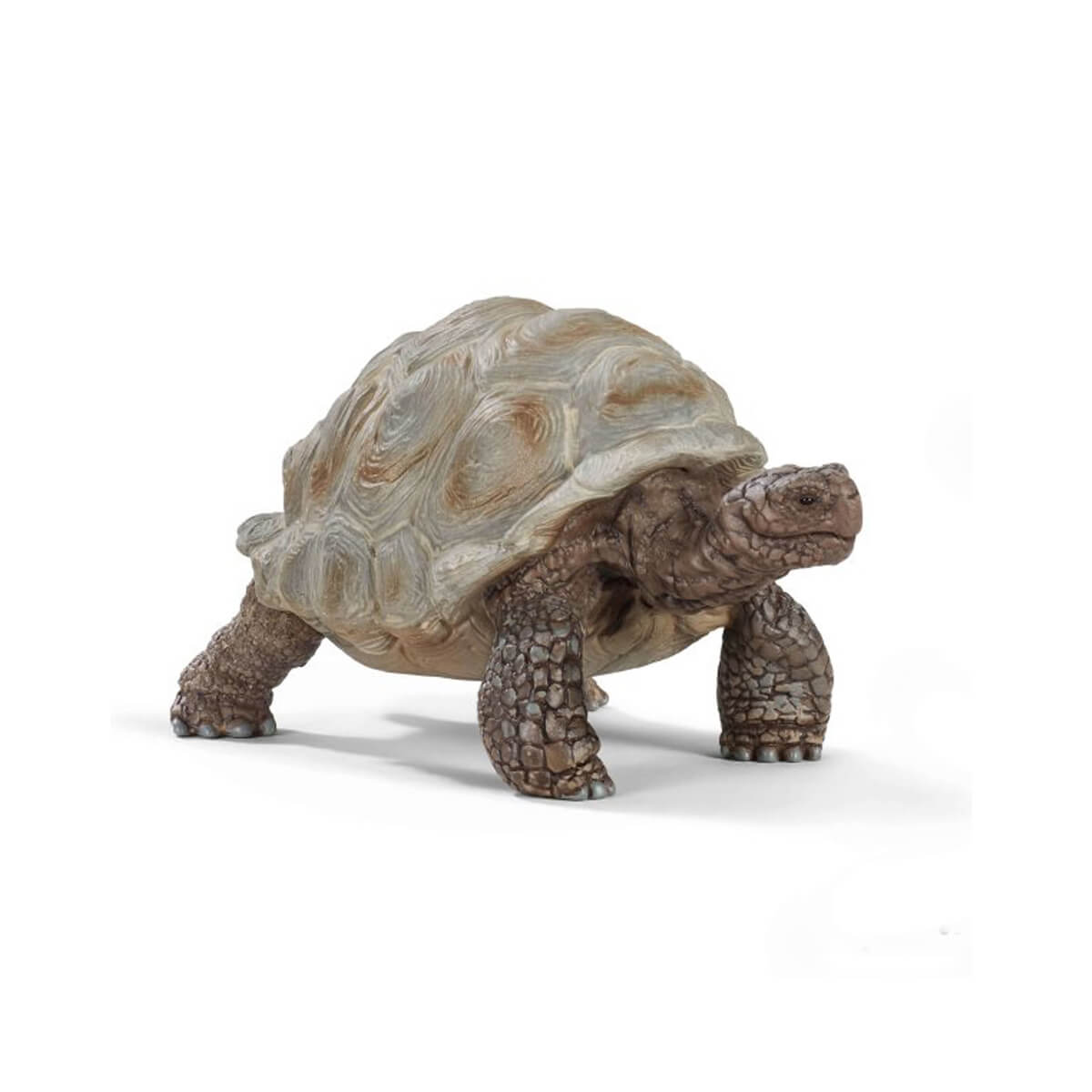 Schleich Giant Tortoise