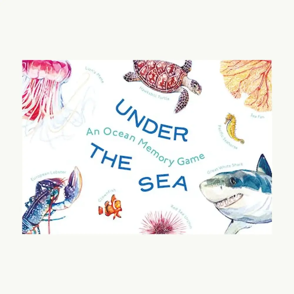 underthesea (1) Under the Sea Memory Game